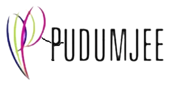 Pudumji logo